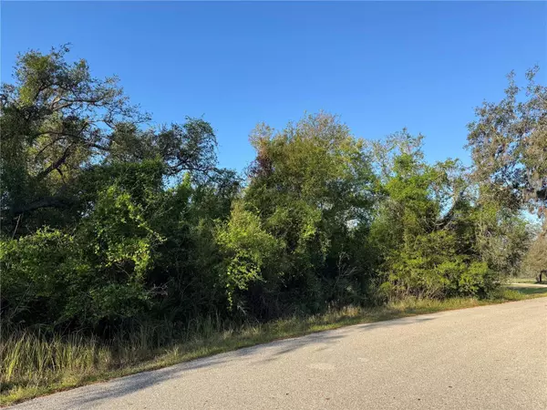 1817 NE VOSS OAKS CIR, Arcadia, FL 34266