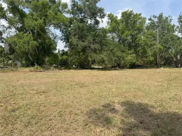 185 W VIRGINIA ST, Arcadia, FL 34266