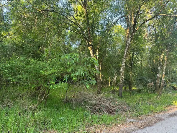 NE RIVER MILL DR, Arcadia, FL 34266