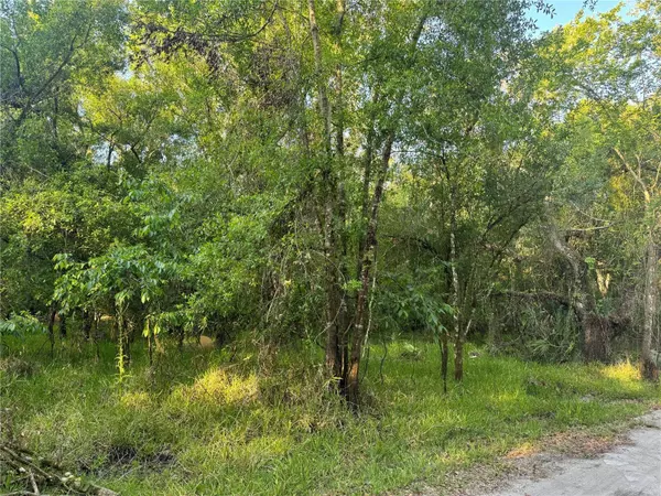 NE RIVER RIDGE AVE, Arcadia, FL 34266