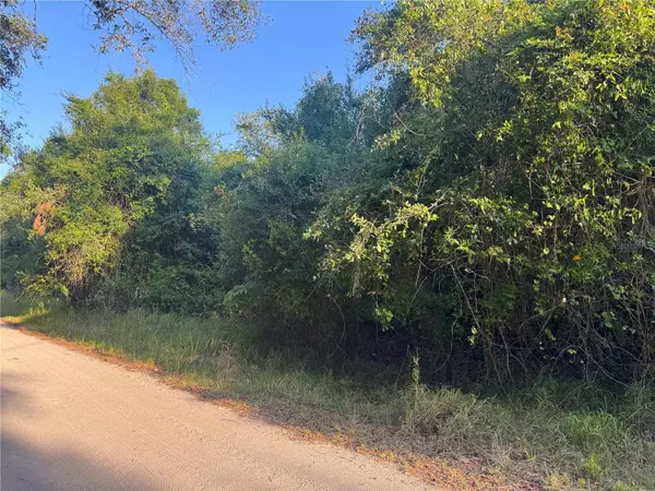 1330 NE RIVER WOOD RD, Arcadia, FL 34266