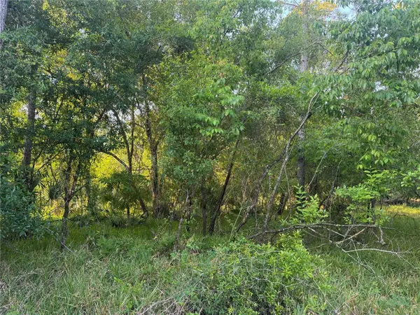 1297 NE RIVER RAFT DR, Arcadia, FL 34266