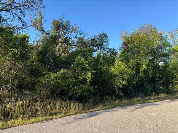 1799 NE VOSS OAKS CIR, Arcadia, FL 34266