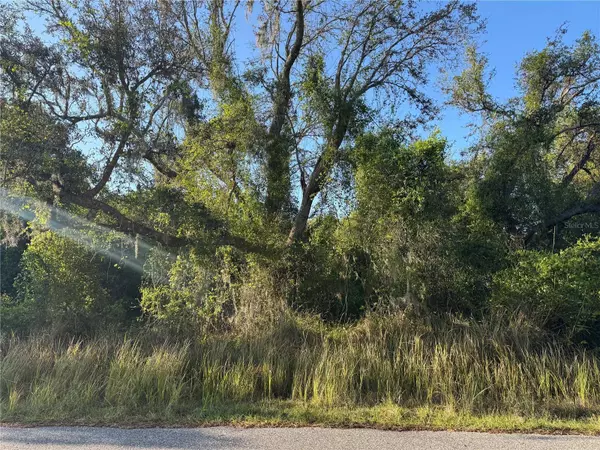 1799 NE VOSS OAKS CIR, Arcadia, FL 34266