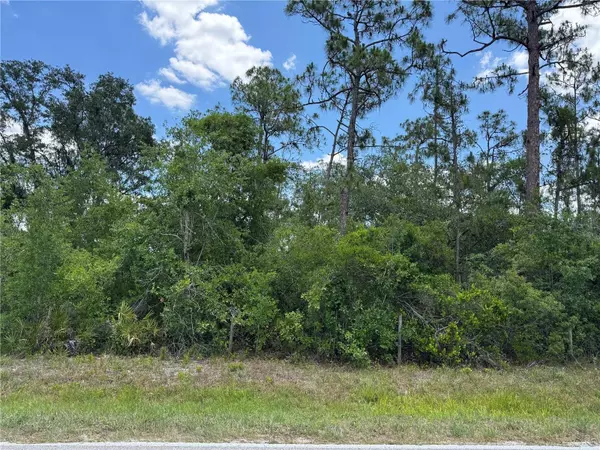 SW FLORIDA RD, Arcadia, FL 34266