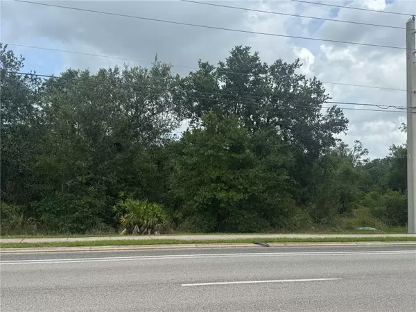 3356/3336/3316 SW HIGHWAY 17, Arcadia, FL 34266