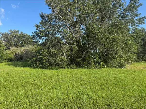 8076 SW LIVERPOOL RD, Arcadia, FL 34269