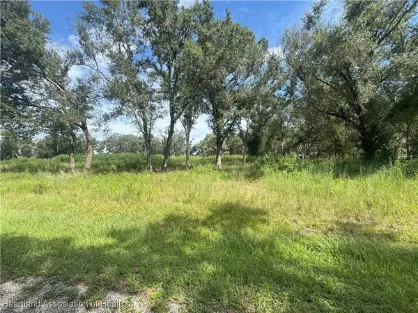 7114 NW Lily County Line RD, Ona, FL 33865