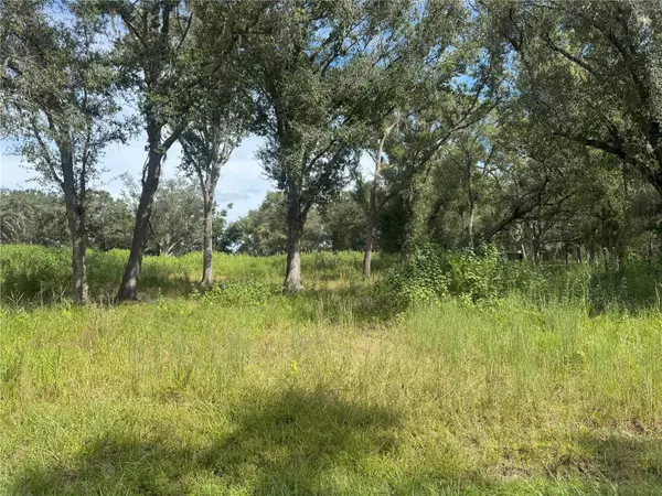 7114 NW LILY COUNTY LINE RD, Ona, FL 33865