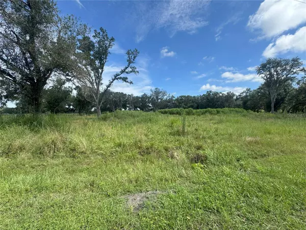 7114 NW LILY COUNTY LINE RD, Ona, FL 33865