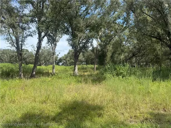 7114 NW Lily County Line RD, Ona, FL 33865