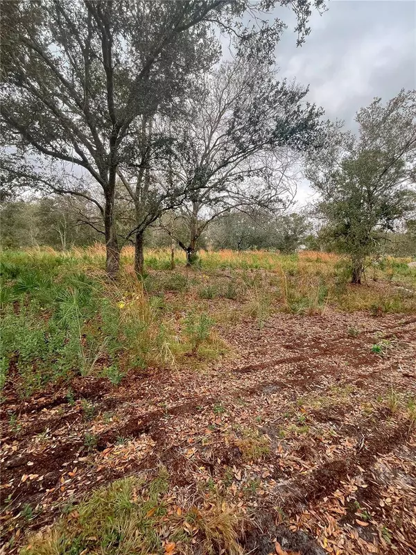 4683 SE RYE AVE, Arcadia, FL 34266