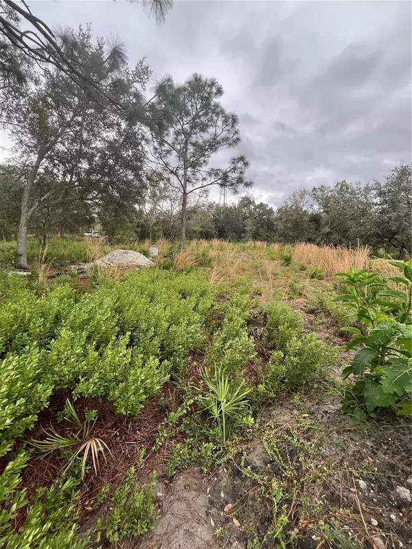 4683 SE RYE AVE, Arcadia, FL 34266