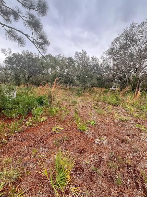 4683 SE RYE AVE, Arcadia, FL 34266