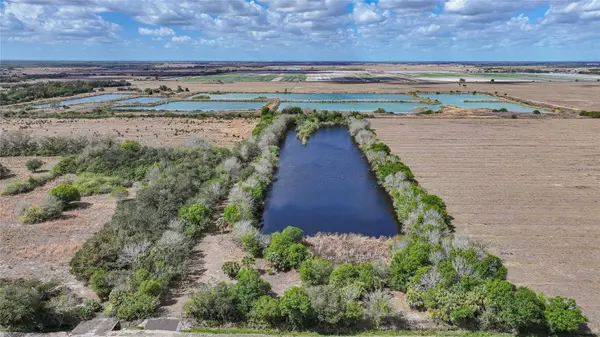 11751 SE HOG BAY AVE S, Arcadia, FL 34266