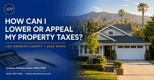 How Can I Lower or Appeal My Property Taxes?