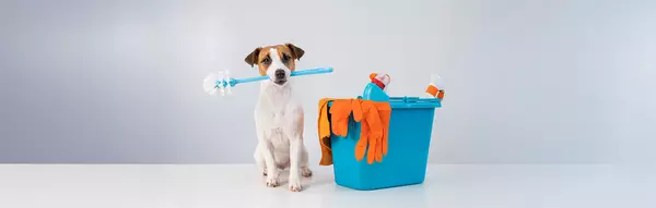Fall Cleaning: The Underrated Home Refresh