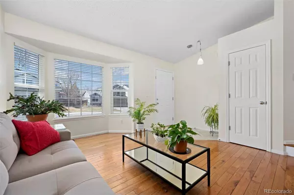 338 Chelsea ST, Castle Rock, CO 80104