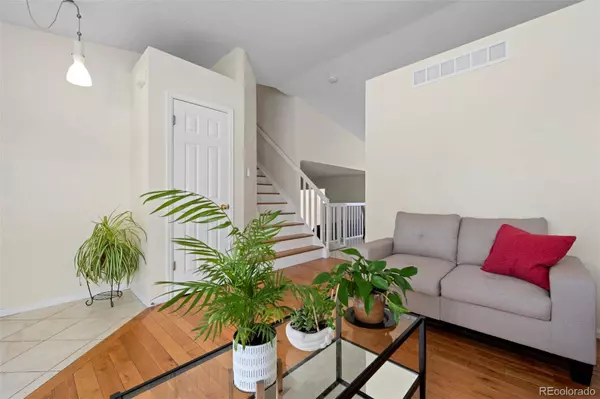 338 Chelsea ST, Castle Rock, CO 80104