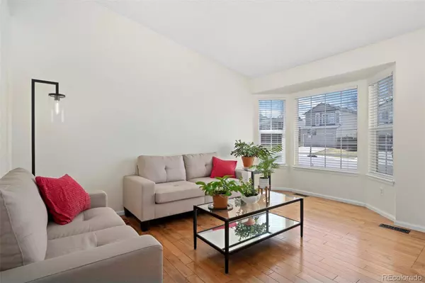 338 Chelsea ST, Castle Rock, CO 80104