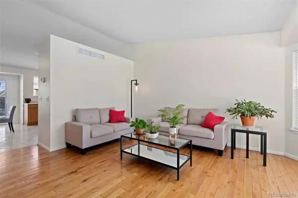 338 Chelsea ST, Castle Rock, CO 80104