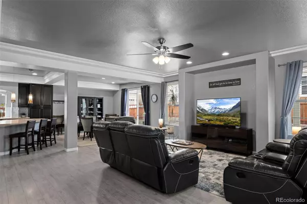 3917 Starry Night LOOP, Castle Rock, CO 80109