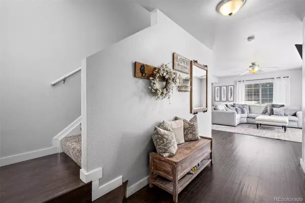 3934 Alcazar DR, Castle Rock, CO 80109