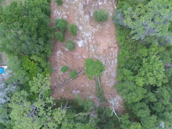 COBERLY DR, Deland, FL 32720