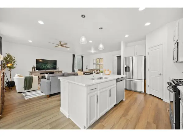 1776 Branching Canopy, Windsor, CO 80550