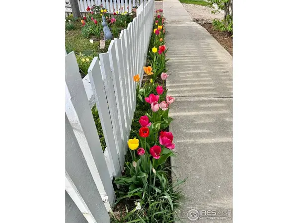 927 5th, Berthoud, CO 80513