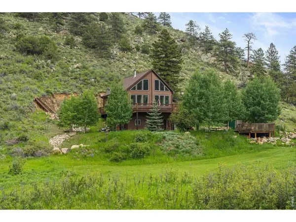 228 Mount Everest, Livermore, CO 80536