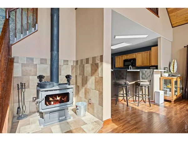 228 Mount Everest, Livermore, CO 80536