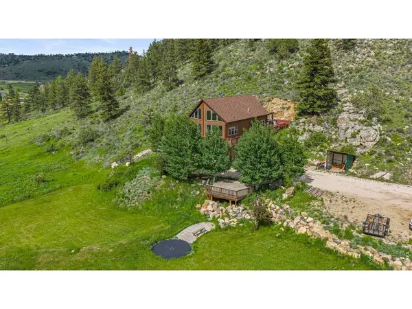 228 Mount Everest, Livermore, CO 80536