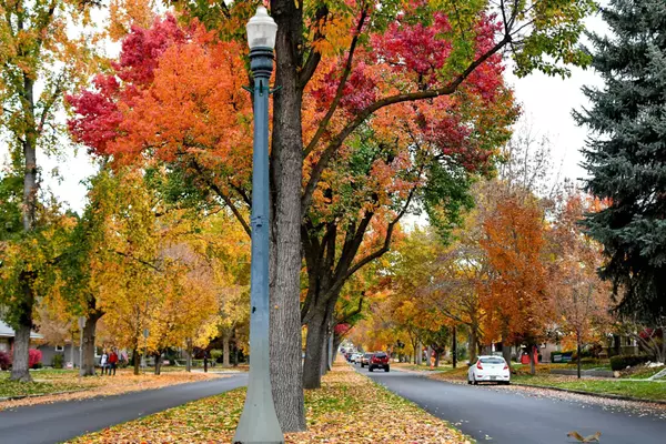 feature image of Fall Events in Boise, Idaho 2025: Popular Festivals &amp; Hidden Gems