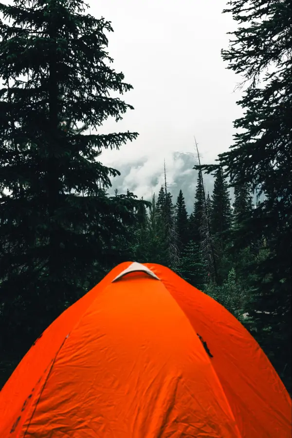 feature image of The Best Camping Near Boise: A Local's Guide (2026)