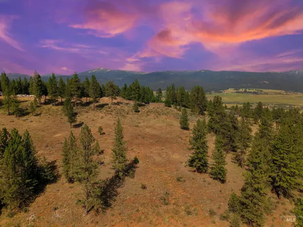 TBD Eagle Feather Road, New Meadows, ID 83654