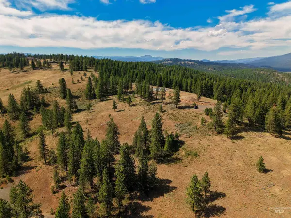 TBD Eagle Feather Road, New Meadows, ID 83654
