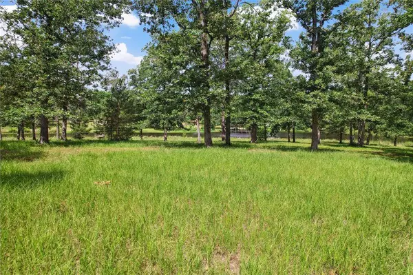 202 Burning Tree RD, Trinity, TX 75862