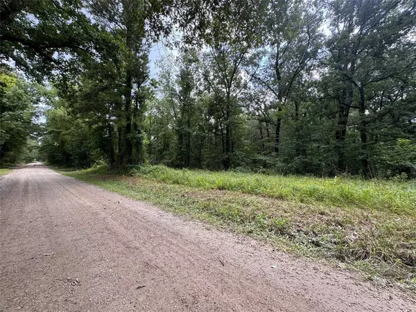 TBD Ryan Ferry RD, Point Blank, TX 77364