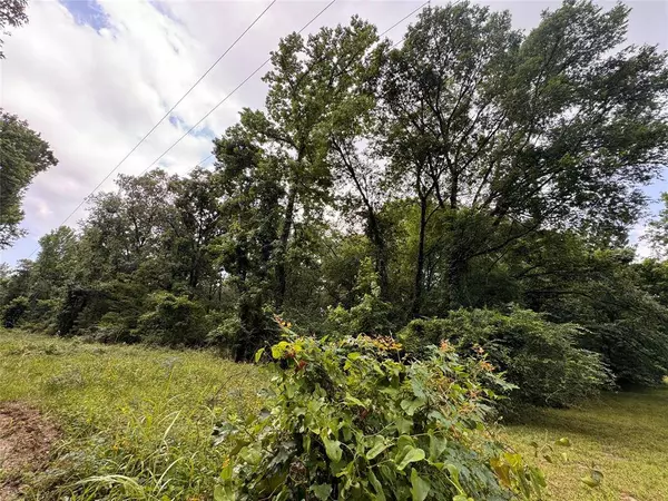 TBD Ryan Ferry RD, Point Blank, TX 77364