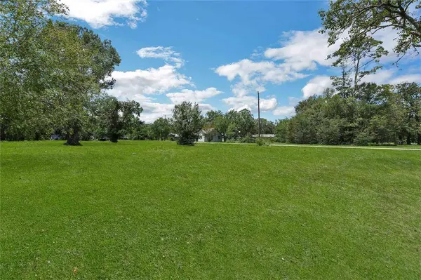 TBD N Shady Oaks DR, Point Blank, TX 77364