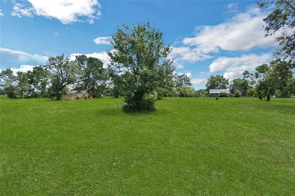 TBD N Shady Oaks DR, Point Blank, TX 77364