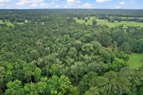 TBD Ryan Ferry RD, Point Blank, TX 77364