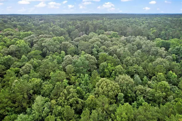 TBD Ryan Ferry RD, Point Blank, TX 77364