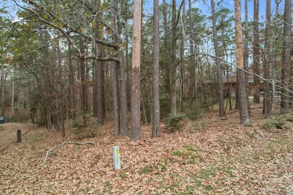 219 Kings WAY, Coldspring, TX 77331