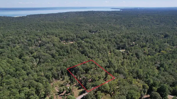 20 Morris Creek RD, Coldspring, TX 77331