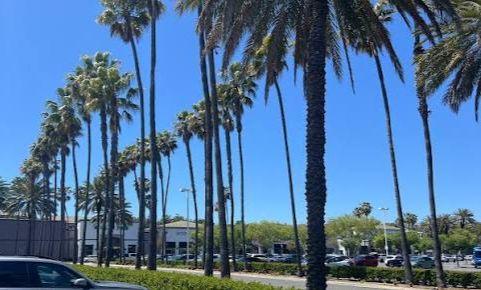 Aliso Viejo