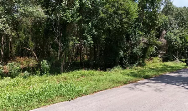 00 Cherry Creek RD, Dayton, TX 77535