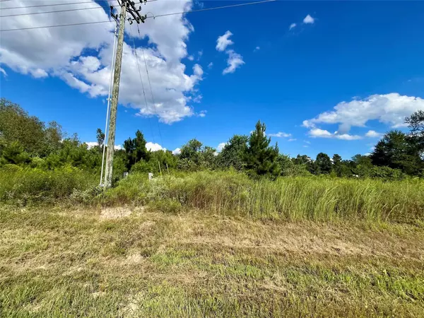 53 Road 5263, Cleveland, TX 77327