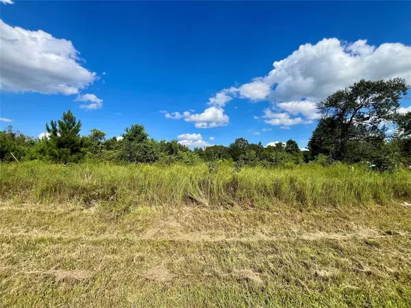 53 Road 5263, Cleveland, TX 77327